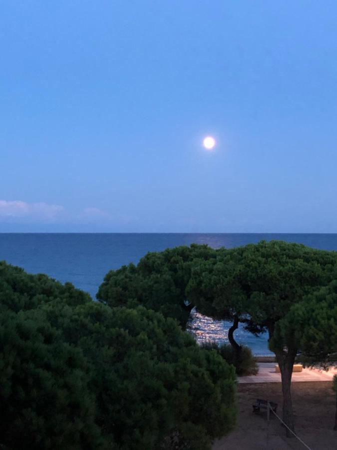 Appartement Direkt Am Blanes